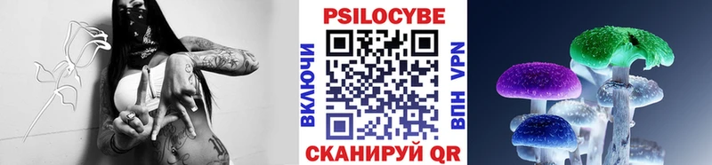 Галлюциногенные грибы прущие грибы  Купить закладки  Свирск 